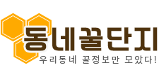 로컬중심 종합 정보포털 동네꿀단지